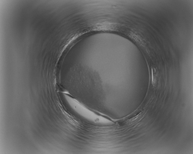 X0000051240204200507082133