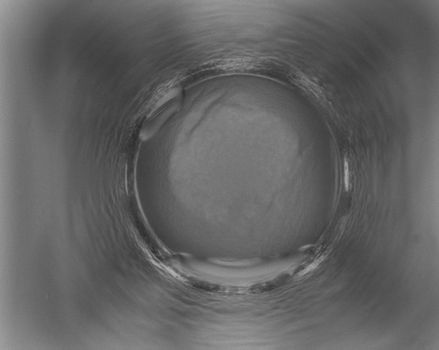 X0000051240205200507082133