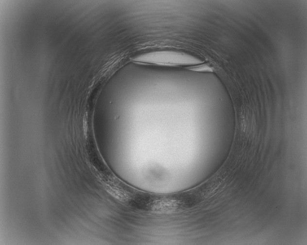 X0000051240206200507082133