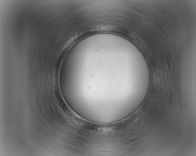 X0000051240208200507082133