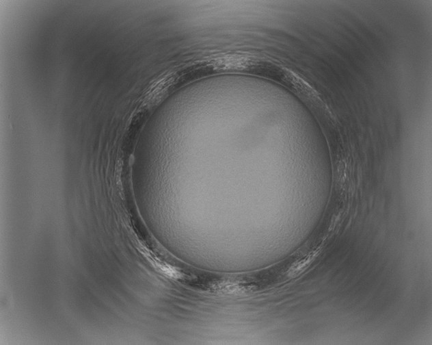 X0000051240209200507082133