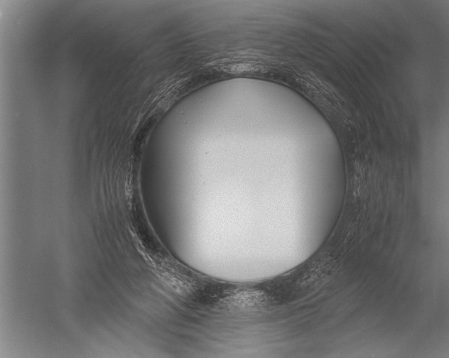 X0000051240210200507082133