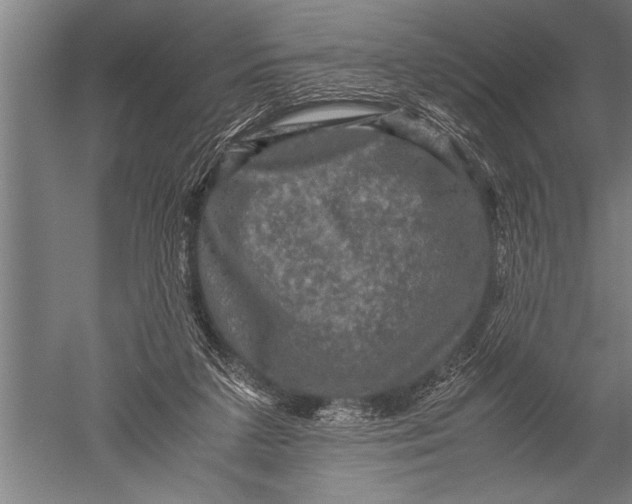 X0000051240211200507082133