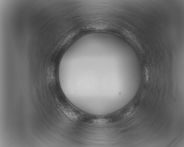 X0000051240212200507082133