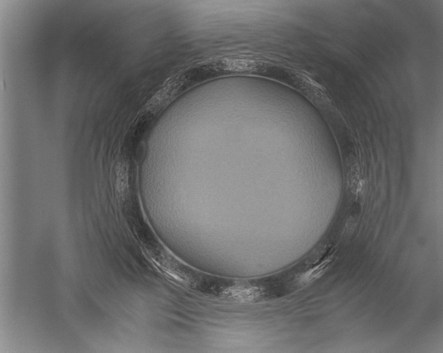 X0000051240213200507082133