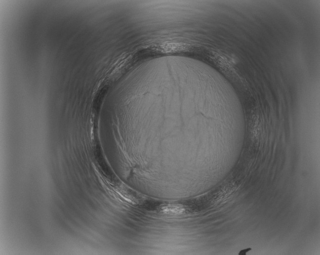 X0000051240214200507082133