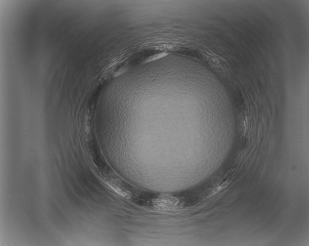 X0000051240215200507082133