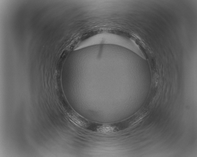 X0000051240217200507082133