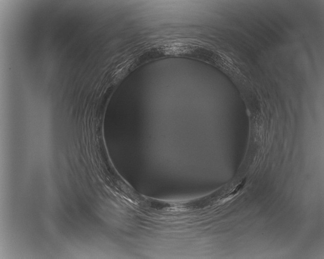 X0000051240219200507082132