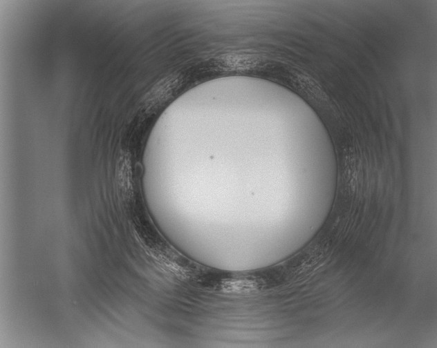 X0000051240220200507082132