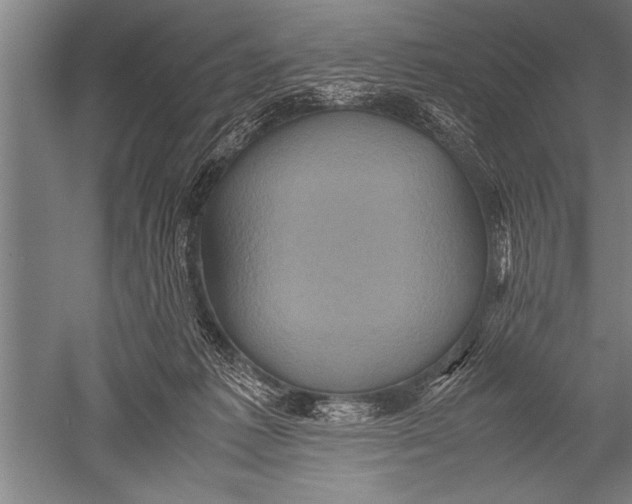 X0000051240221200507082132