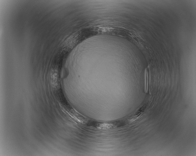 X0000051240222200507082132