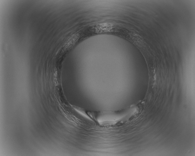 X0000051240224200507082132