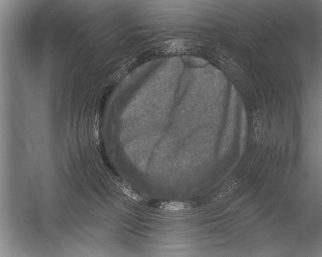 X0000051240230200507082132