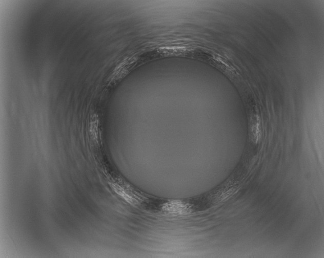 X0000051240231200507082132