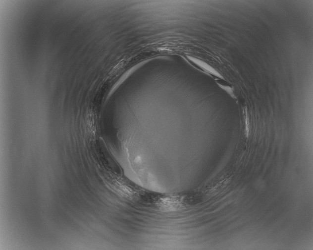 X0000051240232200507082132