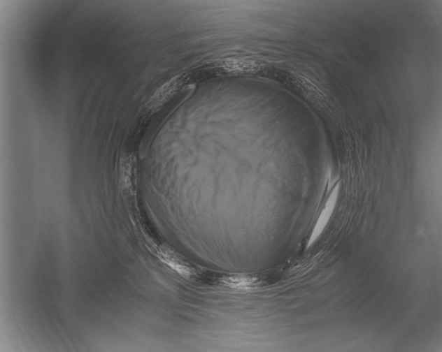 X0000051240233200507082132