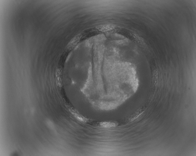 X0000051240234200507082132