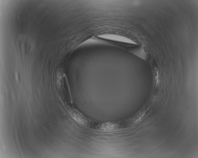 X0000051240235200507082132