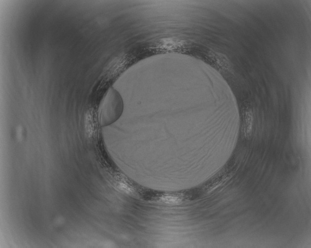 X0000051240236200507082132