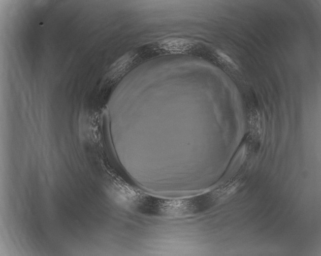 X0000051240237200507082132