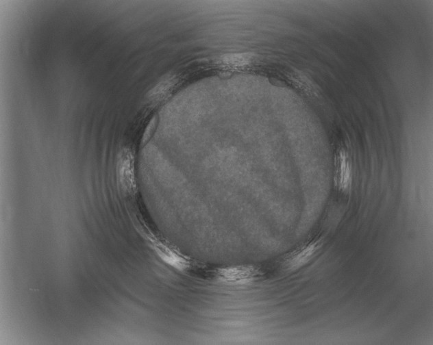 X0000051240238200507082132