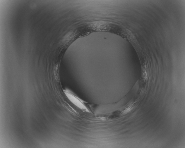 X0000051240239200507082132