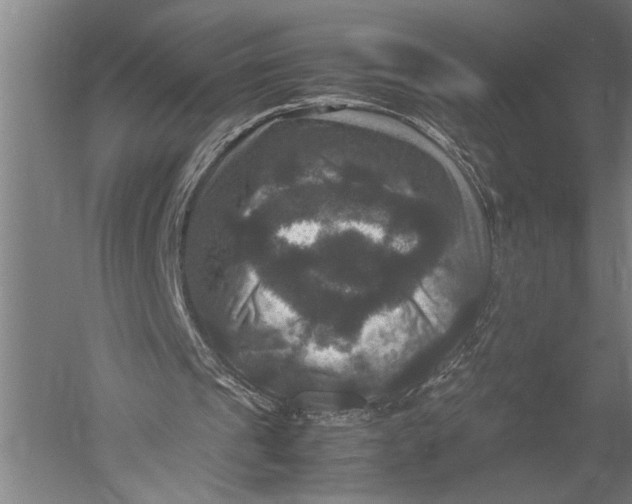 X0000051240241200507082131