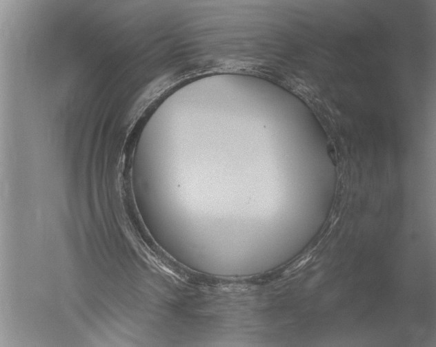 X0000051240242200507082131