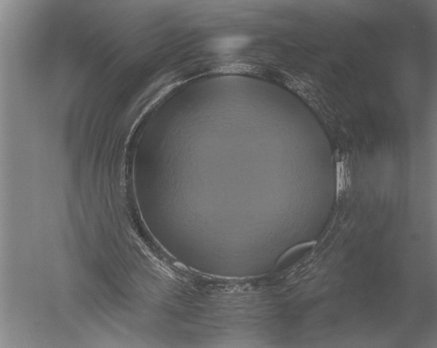 X0000051240243200507082131