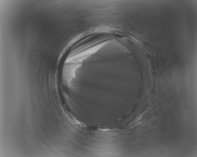 X0000051240244200507082131