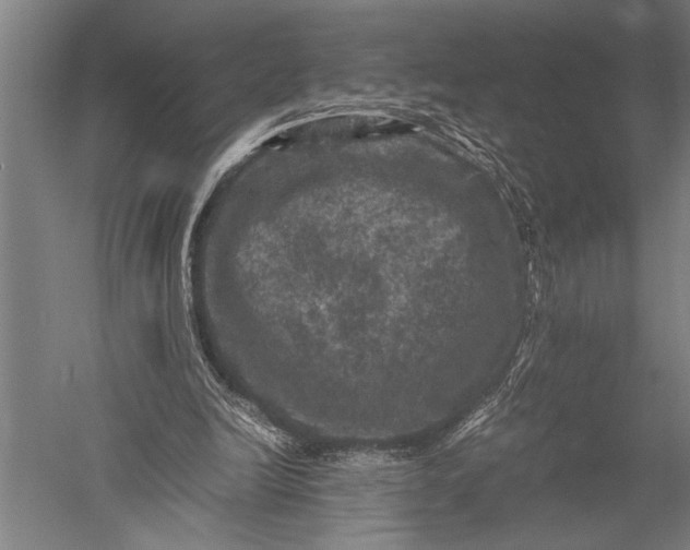 X0000051240246200507082131