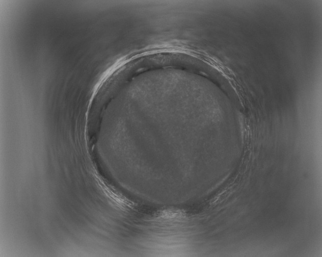 X0000051240248200507082131