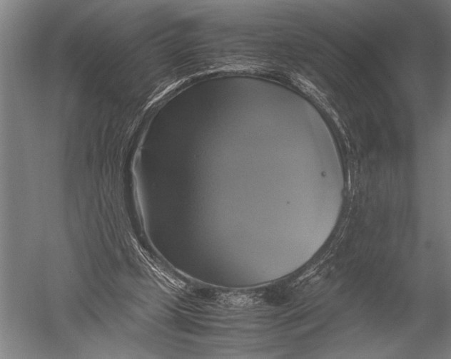 X0000051240249200507082131