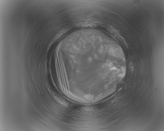 X0000051240250200507082131