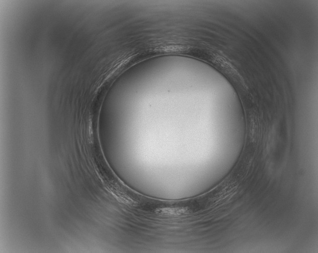 X0000051240251200507082131