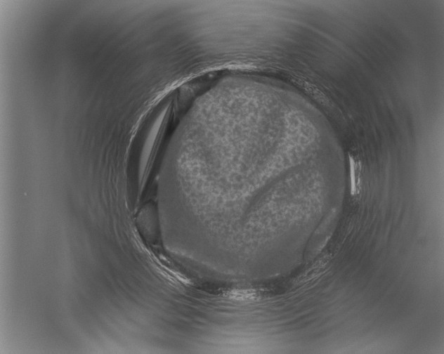 X0000051240252200507082132