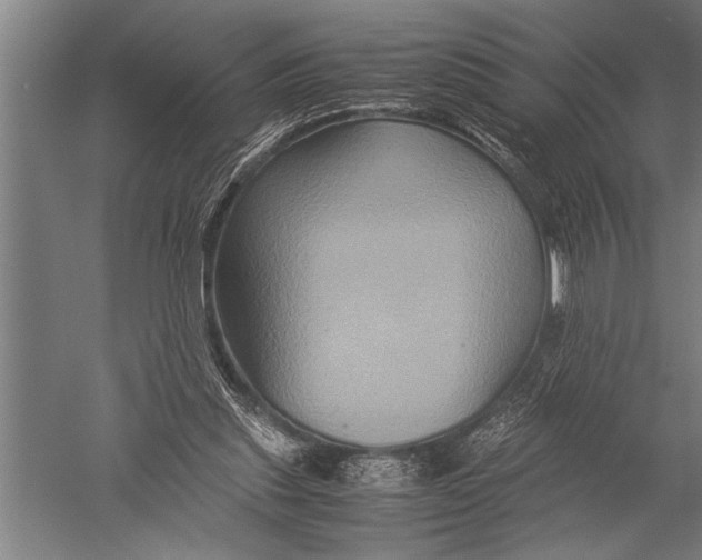 X0000051240253200507082132