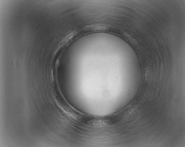 X0000051240254200507082132