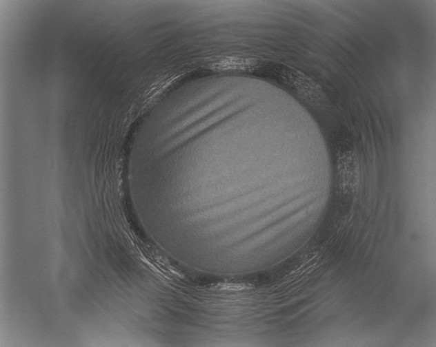 X0000051240255200507082132