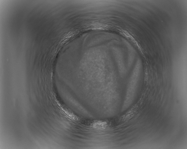 X0000051240257200507082132