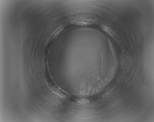 X0000051240258200507082132