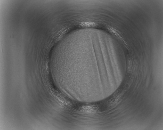 X0000051240259200507082132