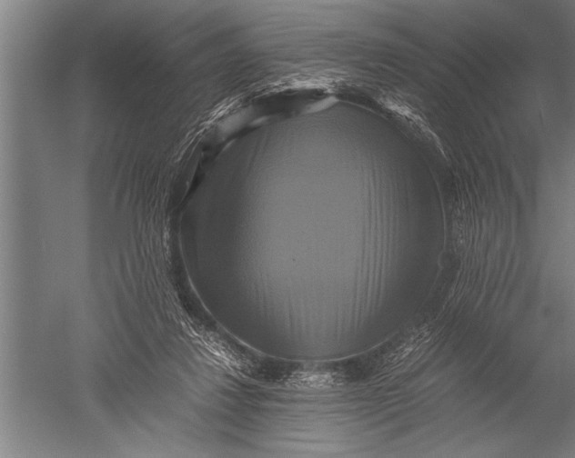 X0000051240260200507082132