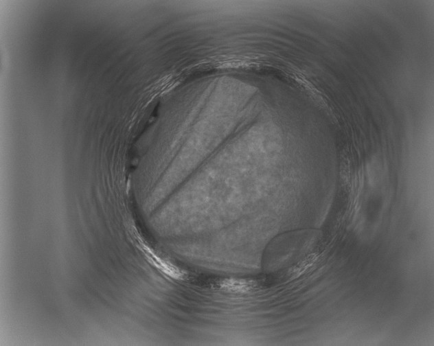 X0000051240261200507082132