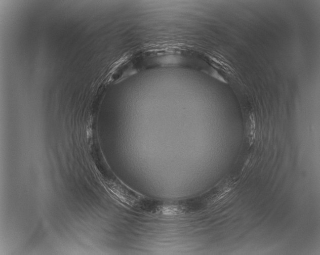 X0000051240264200507082132