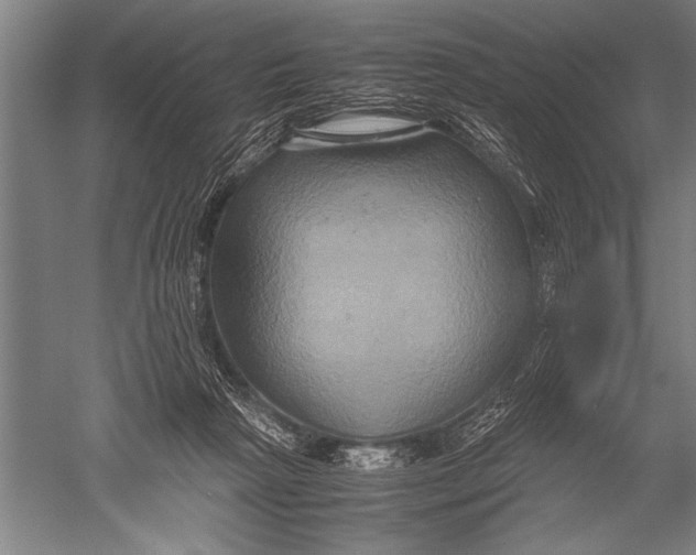 X0000051240265200507082132