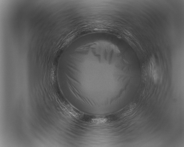 X0000051240266200507082132