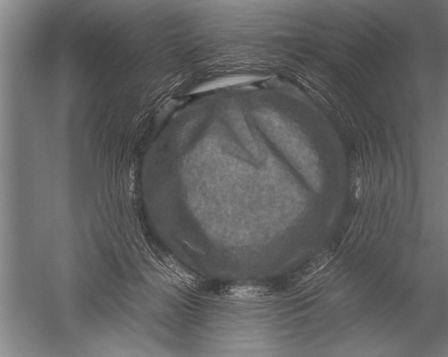 X0000051240268200507082132