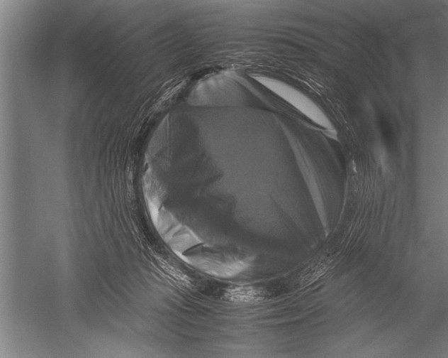 X0000051240269200507082132